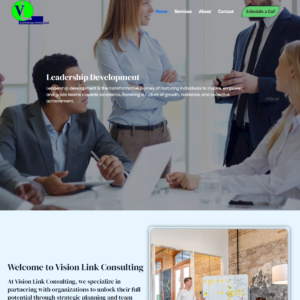 Your Vision Link